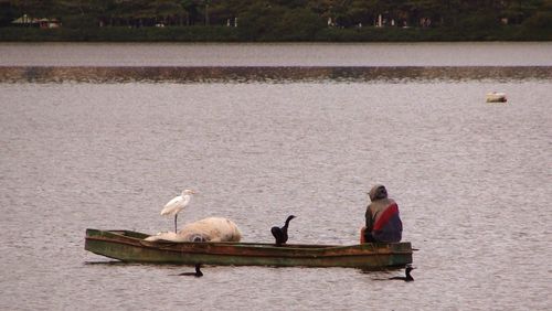 Two birds perching on boat in lake