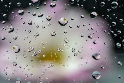 Full frame shot of wet glass window during rainy season