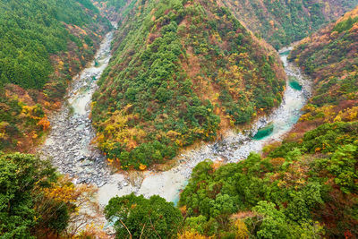 High angle view of mountain landscape with fall color