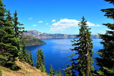 Scenic view of lake by trees against blue sky