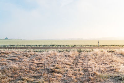 Scenic view of field against sky