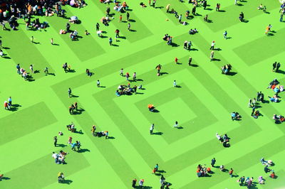 High angle view of people on textured green field