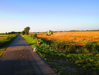 Dirt road amidst field against clear sky