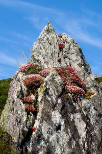 Low angle view of rocks on rock against sky