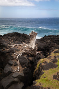 Driftwood on rock by sea against sky