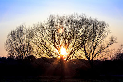 Silhouette bare trees against sky during sunset