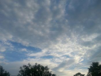 Low angle view of trees against cloudy sky