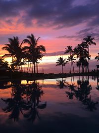 Silhouette palm trees by swimming pool against sky during sunset