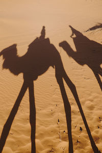 Shadow of people on sand