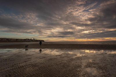 Dog walk on old hunstanton beach at sunset