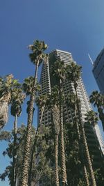 Low angle view of palm trees against sky
