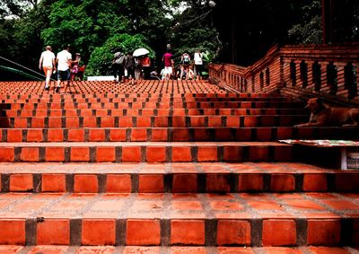 People on steps against trees