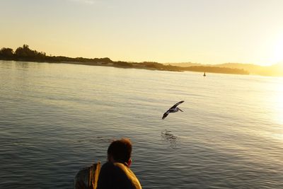 Seagull flying over lake against sky during sunset