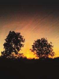 Silhouette trees against sky during sunset