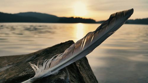 Scenic view of calm lake at sunset