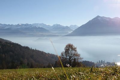 View of a lake with mountain range in the background