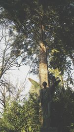 Low angle view of tree against sky