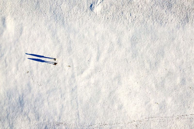 High angle view of text on snow covered land