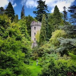 Plants and trees by building against sky