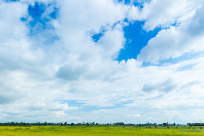 Scenic view of landscape against sky