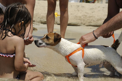 People with dog standing on shore