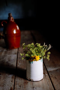 Close-up of potted plant on table