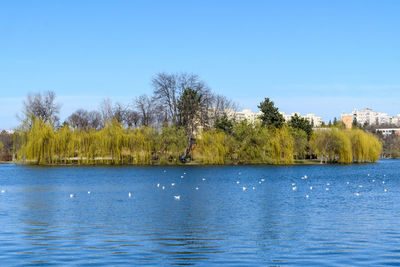 Scenic view of lake against blue sky