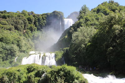 Scenic view of waterfall in forest