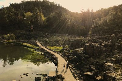 Scenic view of trees against sky