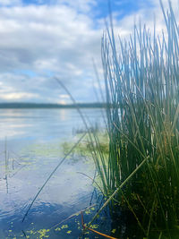 Scenic view of lake against sky