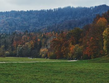 Trees on field during autumn