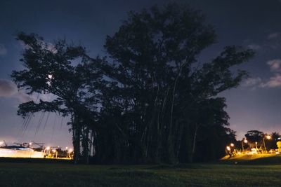 Illuminated built structure at night