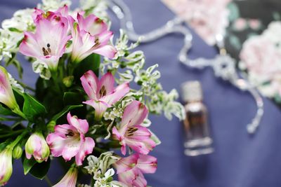 Close-up of pink flowering plant