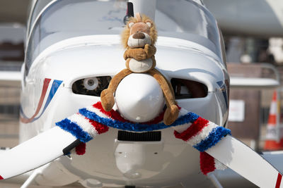Cute lion plush seating on the nose of an aircraft