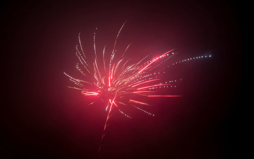 Low angle view of firework display at night