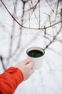 Cropped hand holding tea cup during winter