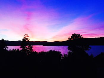 Silhouette of trees at sunset