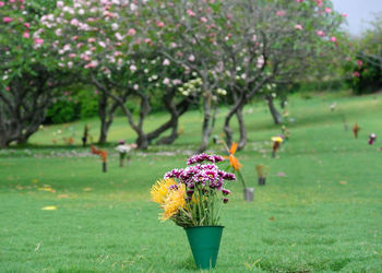 Bouquet in vase on the grave at punchbowl  crater in honolulu , hawaii.