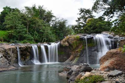 Scenic view of waterfall in forest