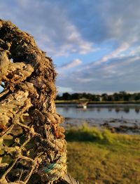 Close-up of rock by lake against sky