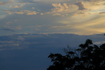 Low angle view of silhouette trees against sky during sunset