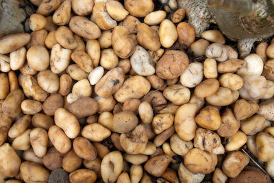 Pebbles stone background