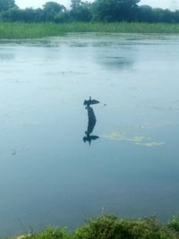 Man swimming in lake against sky