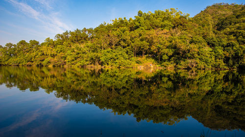 Reflection of trees in lake against sky