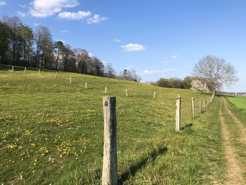 Scenic view of grassy field against sky