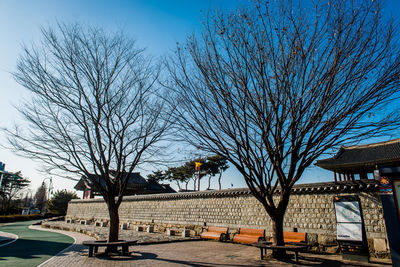 Bare trees by road against sky