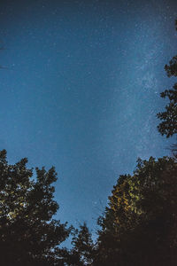 Low angle view of trees against sky at night