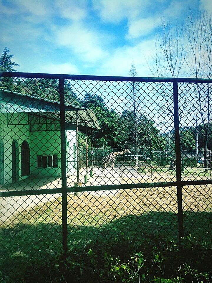 VIEW OF CHAINLINK FENCE AGAINST SKY