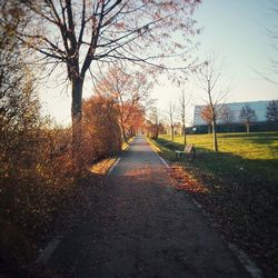 Road amidst trees against sky during autumn