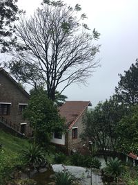 Bare tree by house against sky